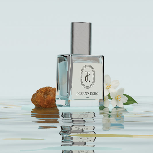 Ocean’s Echo